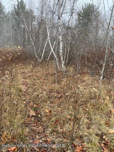 Tbd Goshen Street, Jewett, NY 12444 Main Photo