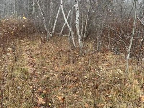 Tbd Goshen Street, Jewett, NY 12444