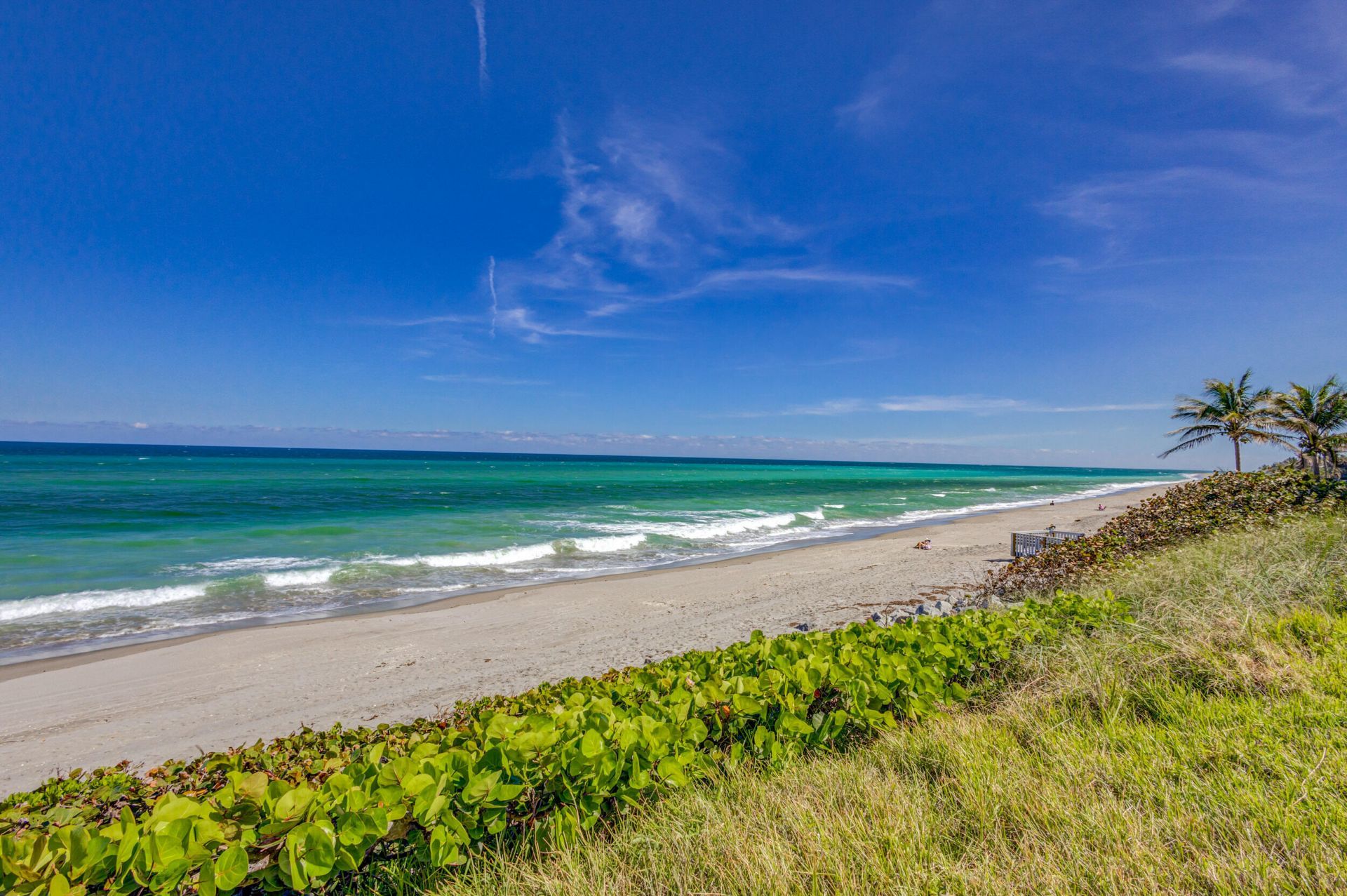 400 Beach Road, Unit 804, Tequesta, FL 33469 Photo