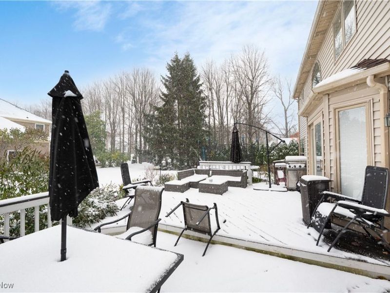 363 Miner Road, Highland Heights, OH 44143 Photo 45