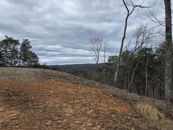 0 Canoe Way, Talking Rock, GA 30175