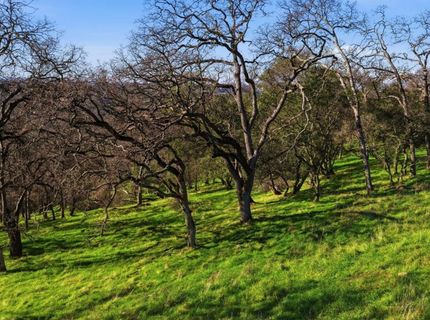 6594 Western Sierra Way, El Dorado Hills, CA 95762 Photo