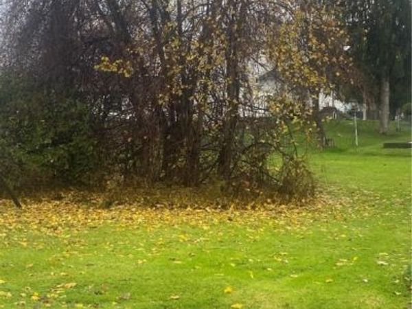 Niagara Avenue, Syracuse, NY 13209