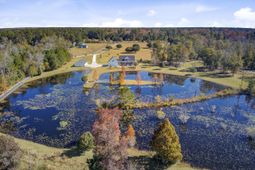 933 Tree Farm Lane photo 4