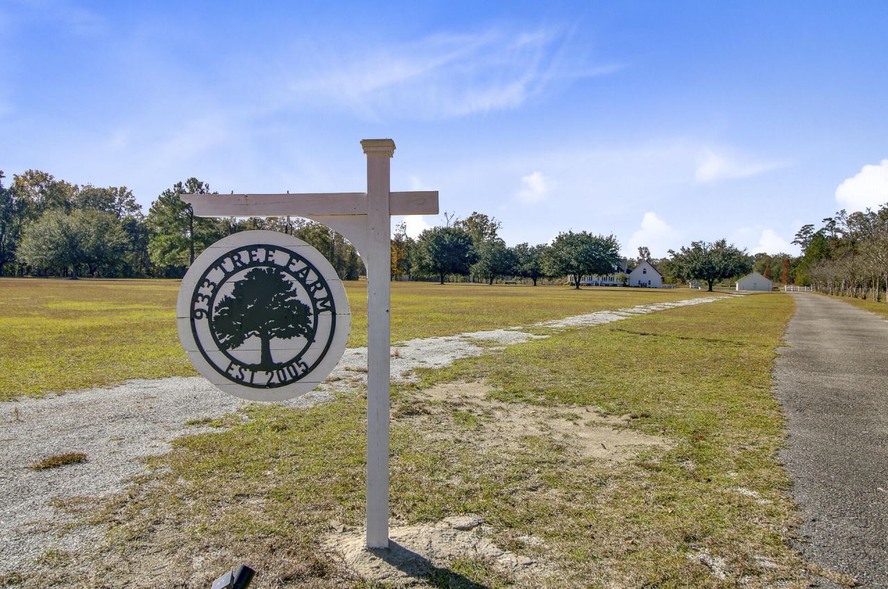 933 Tree Farm Lane Photo 4