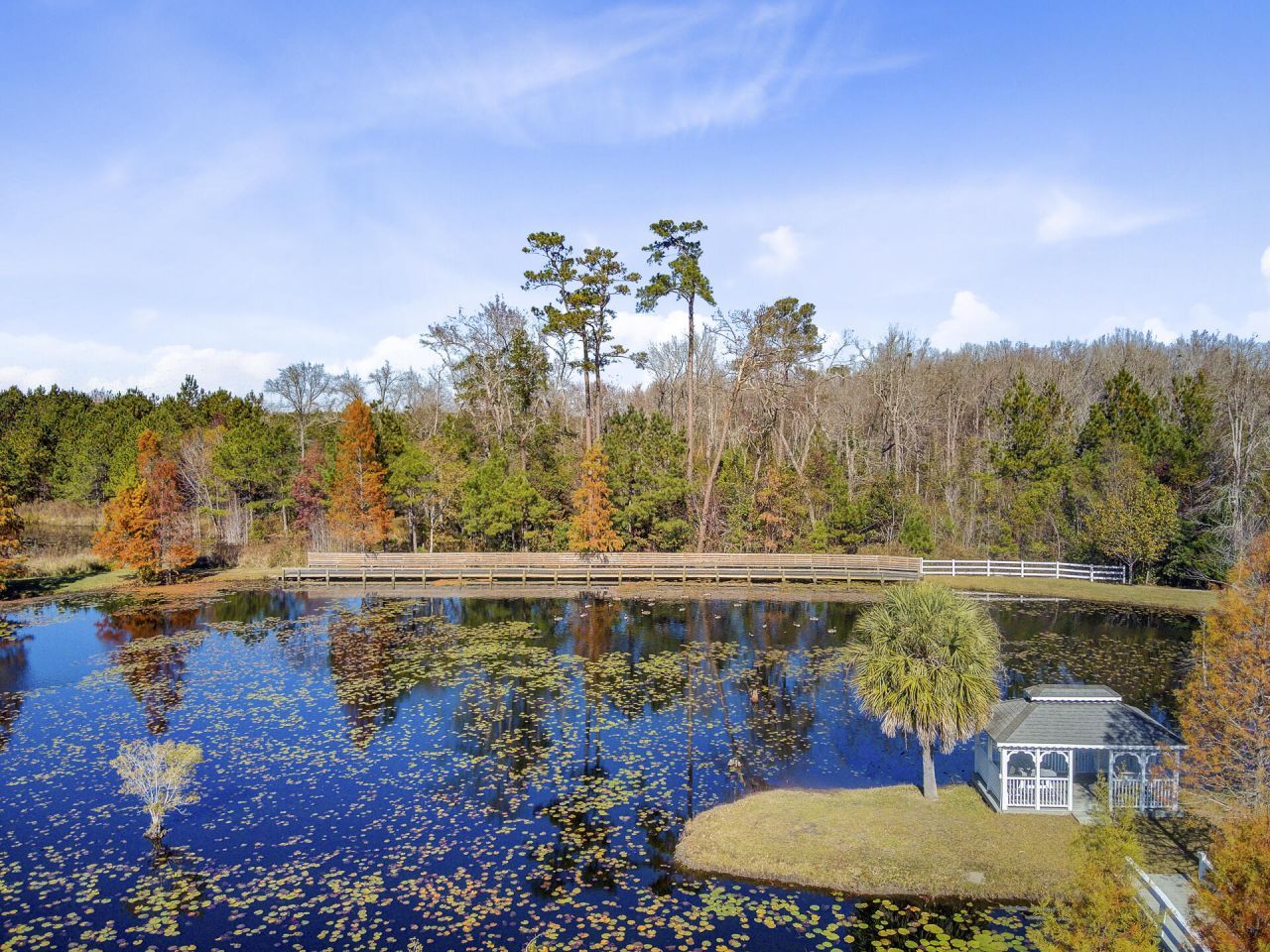 933 Tree Farm Lane Photo 78