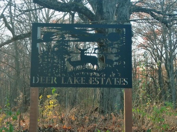 9579 E Timberline Trail, Reed City, MI 49677