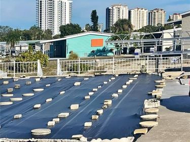 4692 Mai Kai LN , BONITA SPRINGS, FL 34134