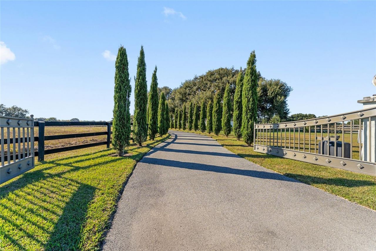 11408 N Magnolia Avenue, Ocala, FL 34475 Photo