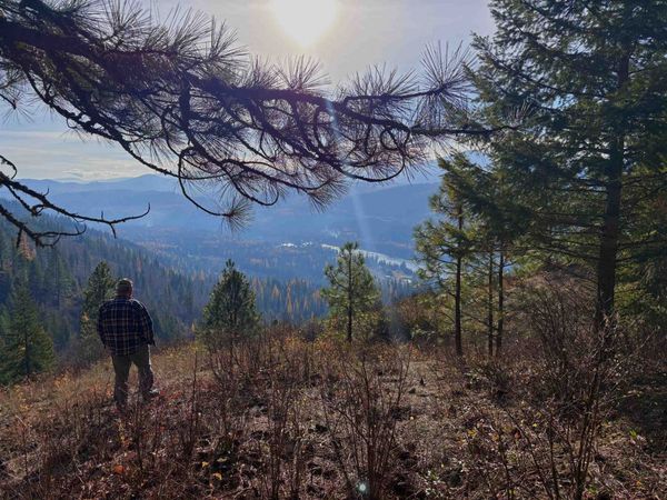 XX N LeClerc Rd Rd, Cusick, WA 99119