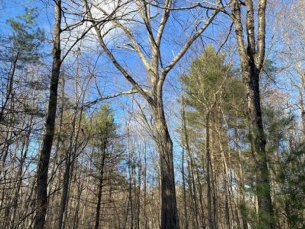Lot B Brimfield Rd, Monson, MA 01057