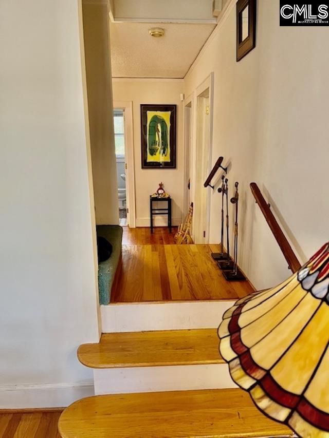 922 Suber Street  Photo 16