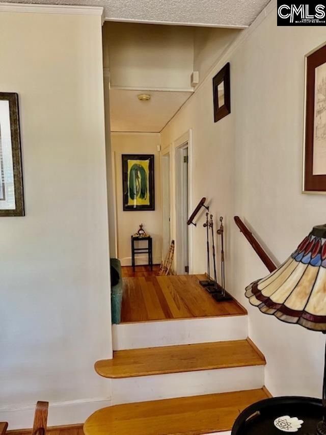 922 Suber Street  Photo 26