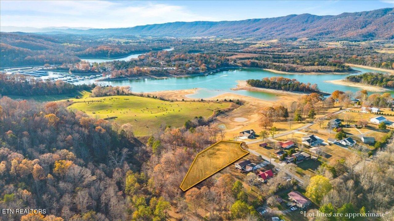 900 Powell Valley Shores Circle, Speedwell, TN 37870 Main Photo