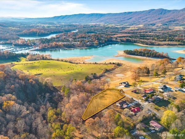 900 Powell Valley Shores Circle, Speedwell, TN 37870