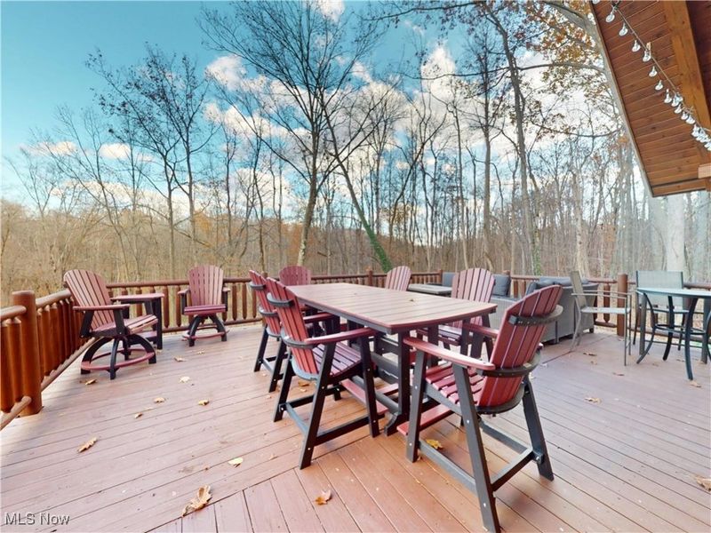 1142 Tote Road, Rock Creek, OH 44084 Photo 46