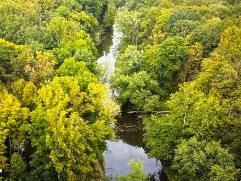 1142 Tote Road, Rock Creek, OH 44084 Photo 47