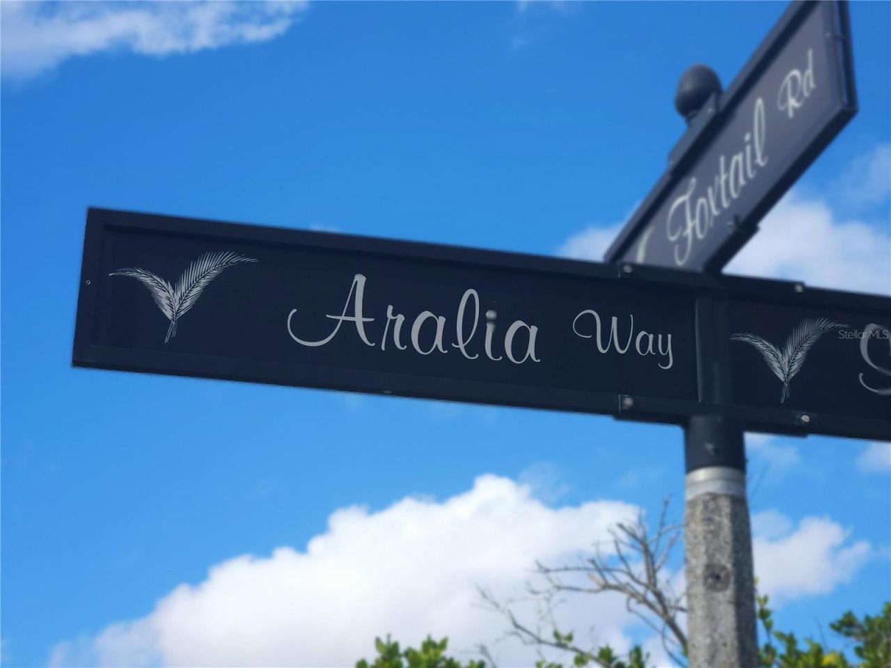 7730 Aralia Way, Seminole, FL 33777 Photo