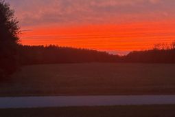 2628 Rembert Church Road  photo 4