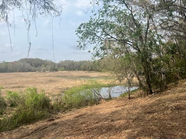 16222 Livingston Avenue, Lutz, FL 33559 Photo