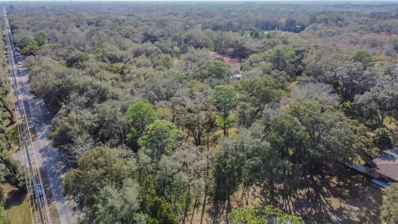 16222 Livingston Avenue, Lutz, FL 33559 Photo