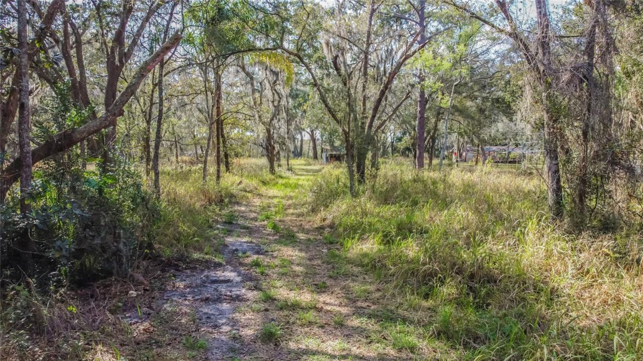 16222 Livingston Avenue, Lutz, FL 33559 Photo