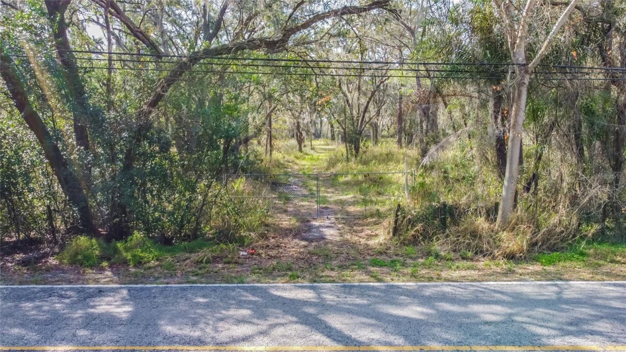 16222 Livingston Avenue, Lutz, FL 33559 Photo