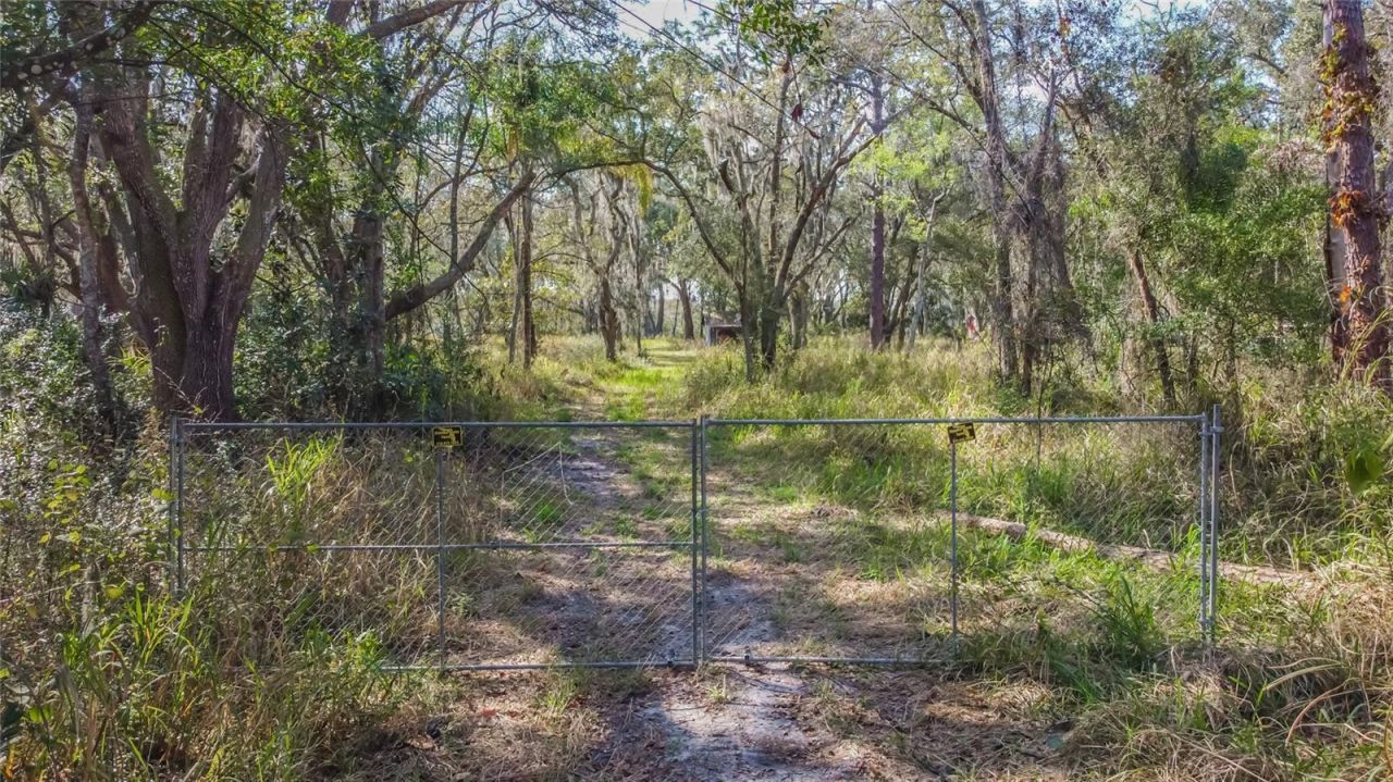 16222 Livingston Avenue, Lutz, FL 33559 Photo