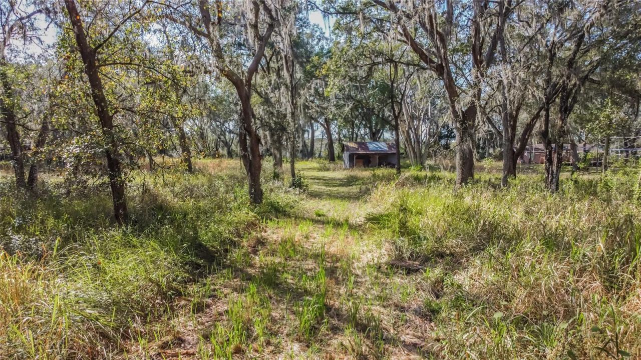 16222 Livingston Avenue, Lutz, FL 33559 Photo