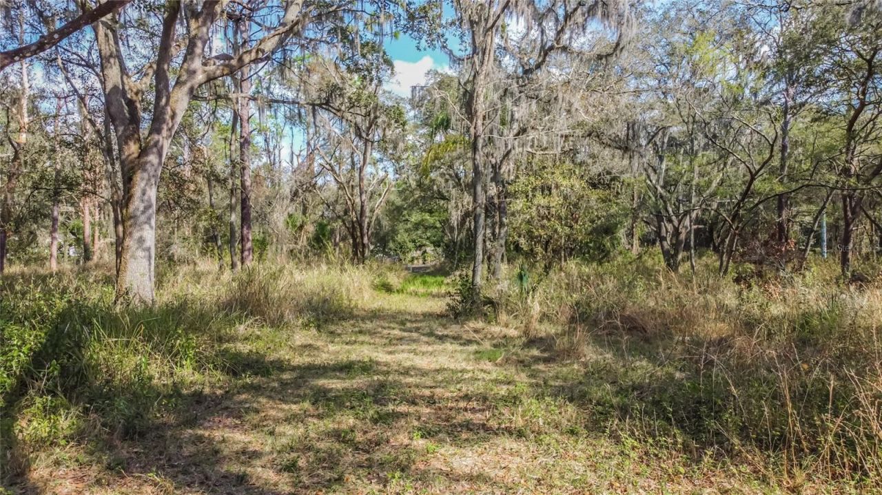 16222 Livingston Avenue, Lutz, FL 33559 Photo