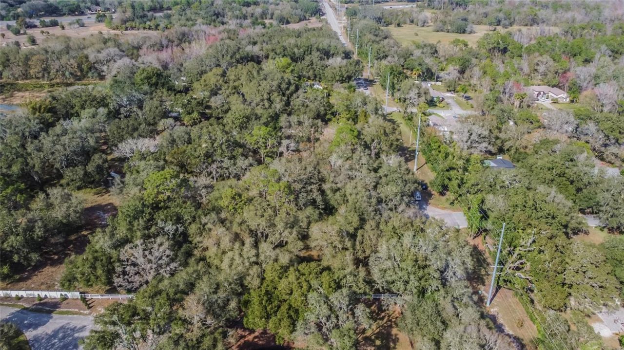 16222 Livingston Avenue, Lutz, FL 33559 Photo