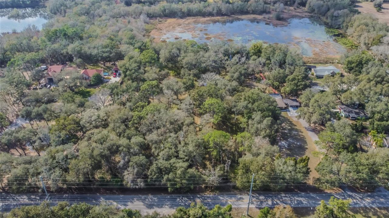 16222 Livingston Avenue, Lutz, FL 33559 Photo