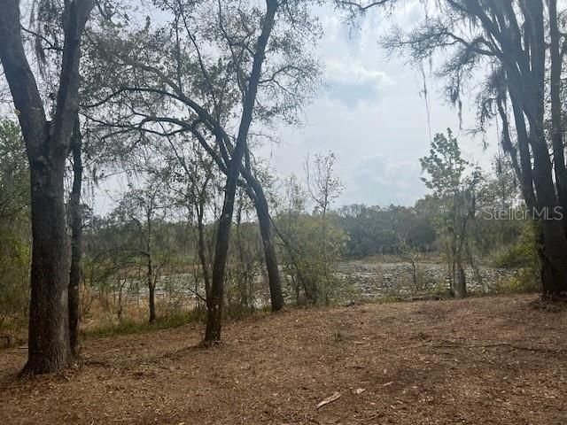 16222 Livingston Avenue, Lutz, FL 33559 Photo