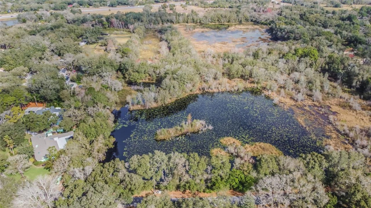 16222 Livingston Avenue, Lutz, FL 33559 Photo