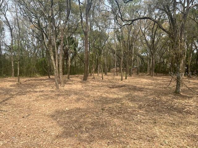 16222 Livingston Avenue, Lutz, FL 33559 Photo