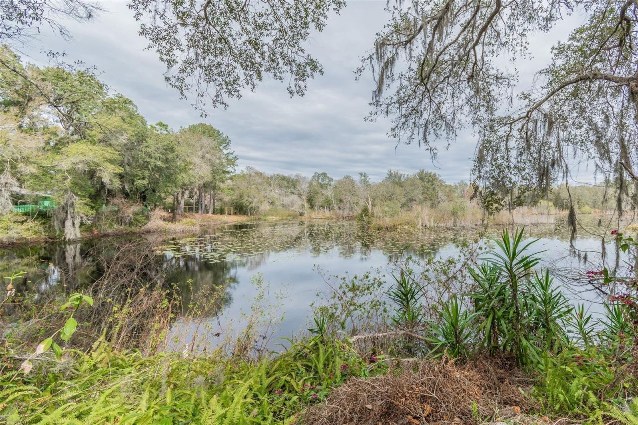 16222 Livingston Avenue, Lutz, FL 33559 Photo