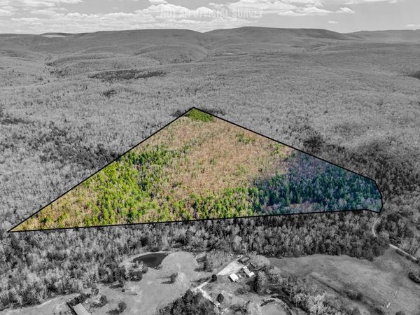 0 Baxter Norris Rd, Crab Orchard, TN 37723