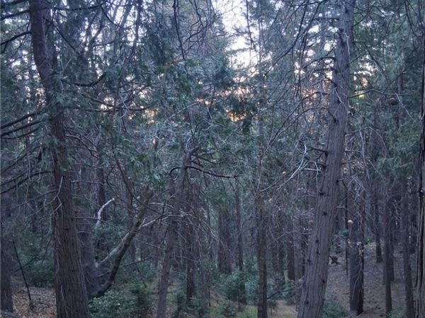 0 Reservoir, Cedarpines Park, CA 92322