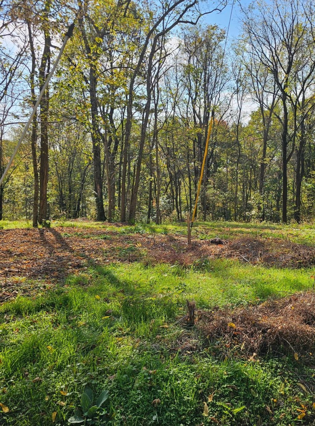 0 Sugar Ridge, Spring Hill, TN 37174 Main Photo