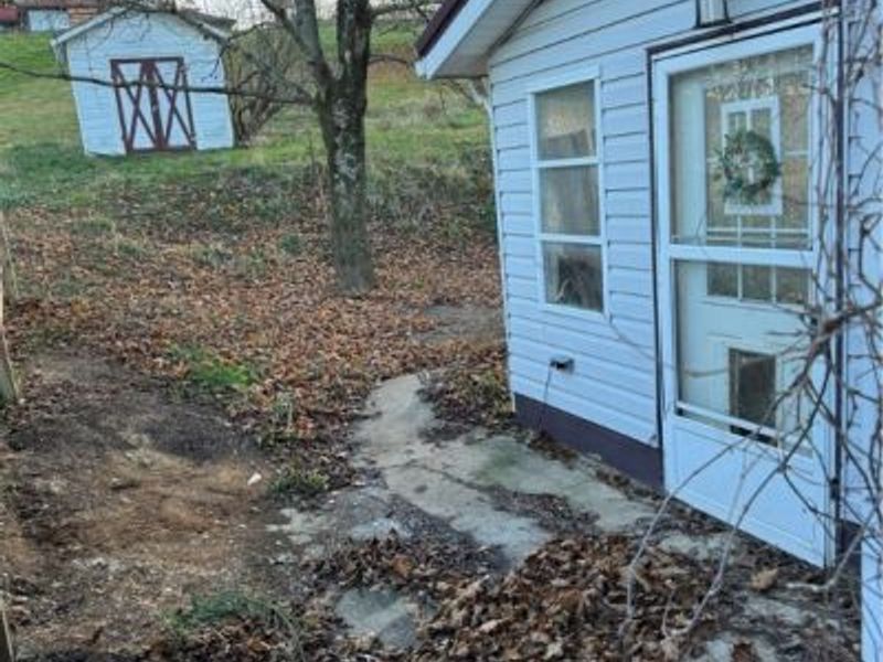 113 W 1st Street, Minerva, OH 44657 Photo 9