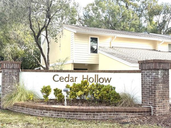 11241 CEDAR HOLLOW LANE, TAMPA, FL 33618