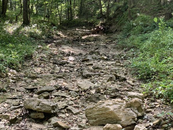 Branch Road, Fulton, MO 65251