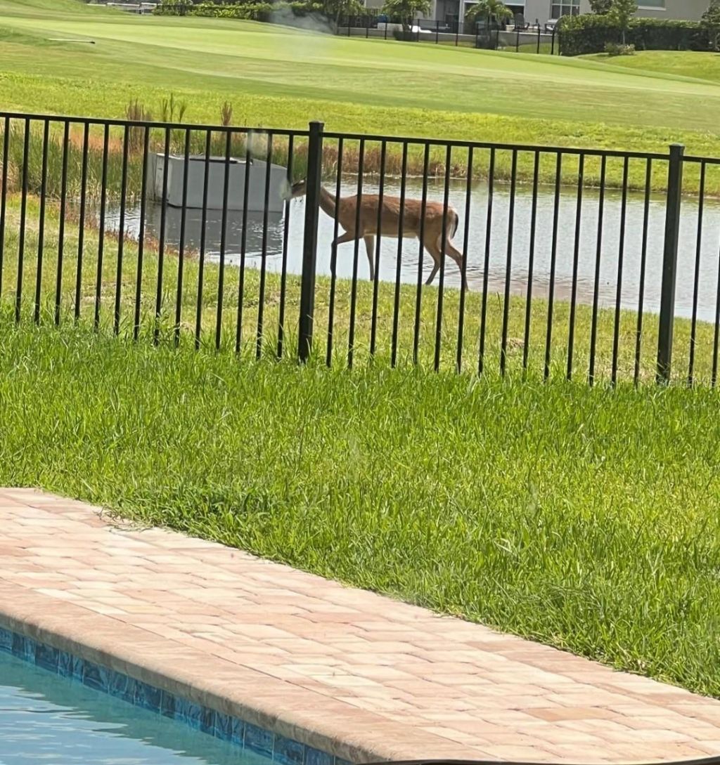 8112 Cleobury Drive, Orlando, FL 32832 Photo