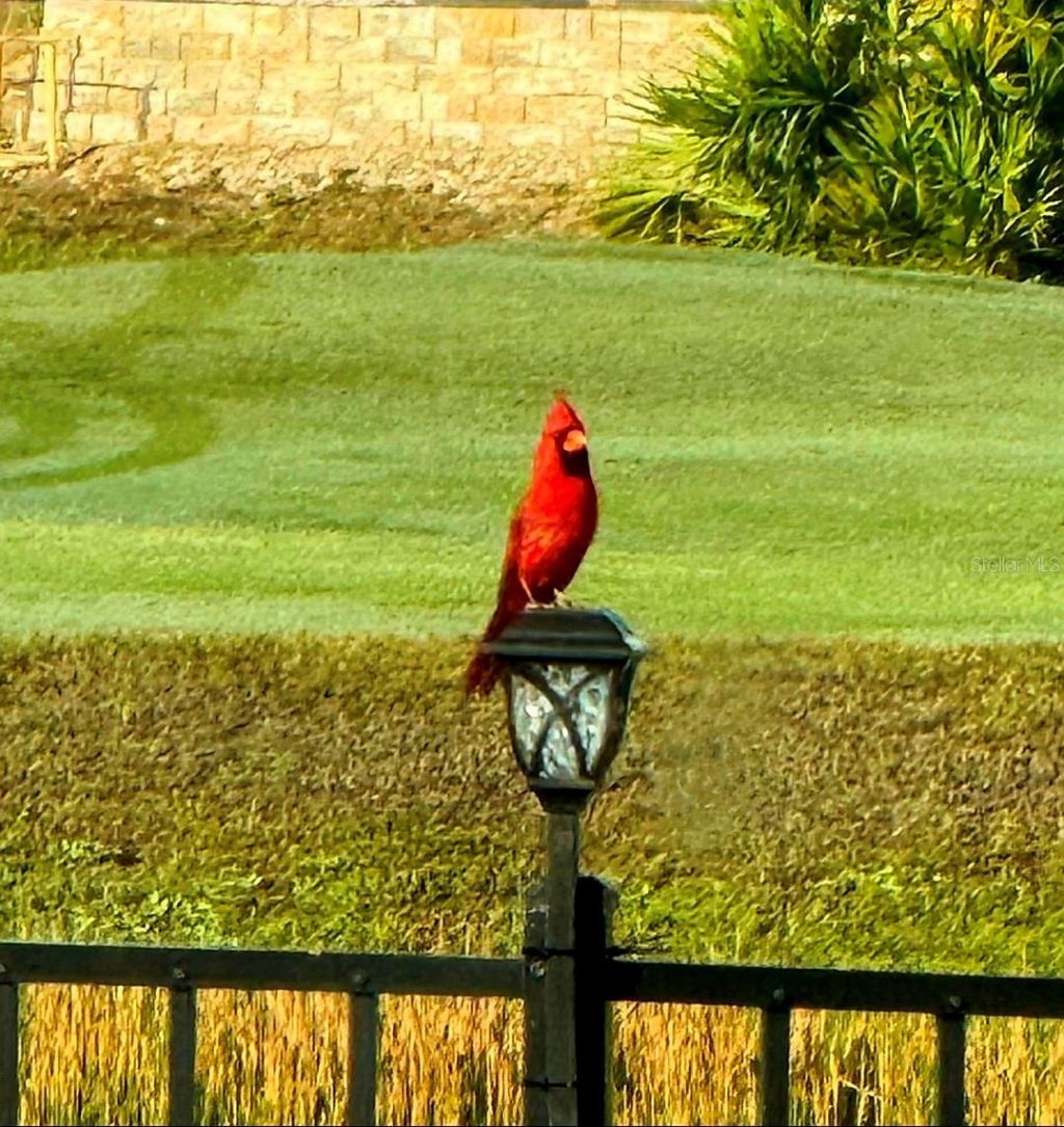 8112 Cleobury Drive, Orlando, FL 32832 Photo