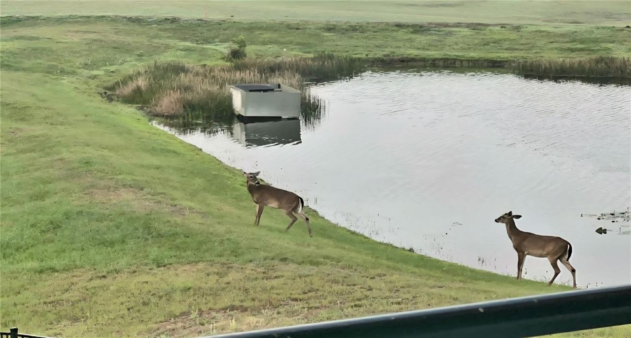 8112 Cleobury Drive, Orlando, FL 32832 Photo