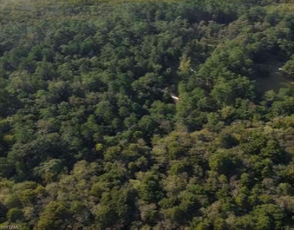 Please Call For Address, Alford, FL 32420 Photo