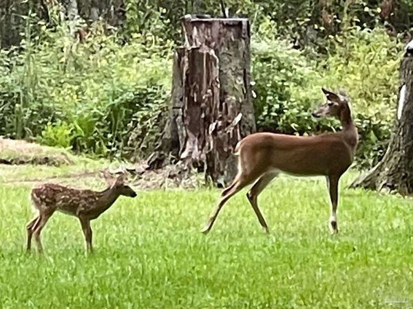 3372 Childers St, Milton, FL 32583