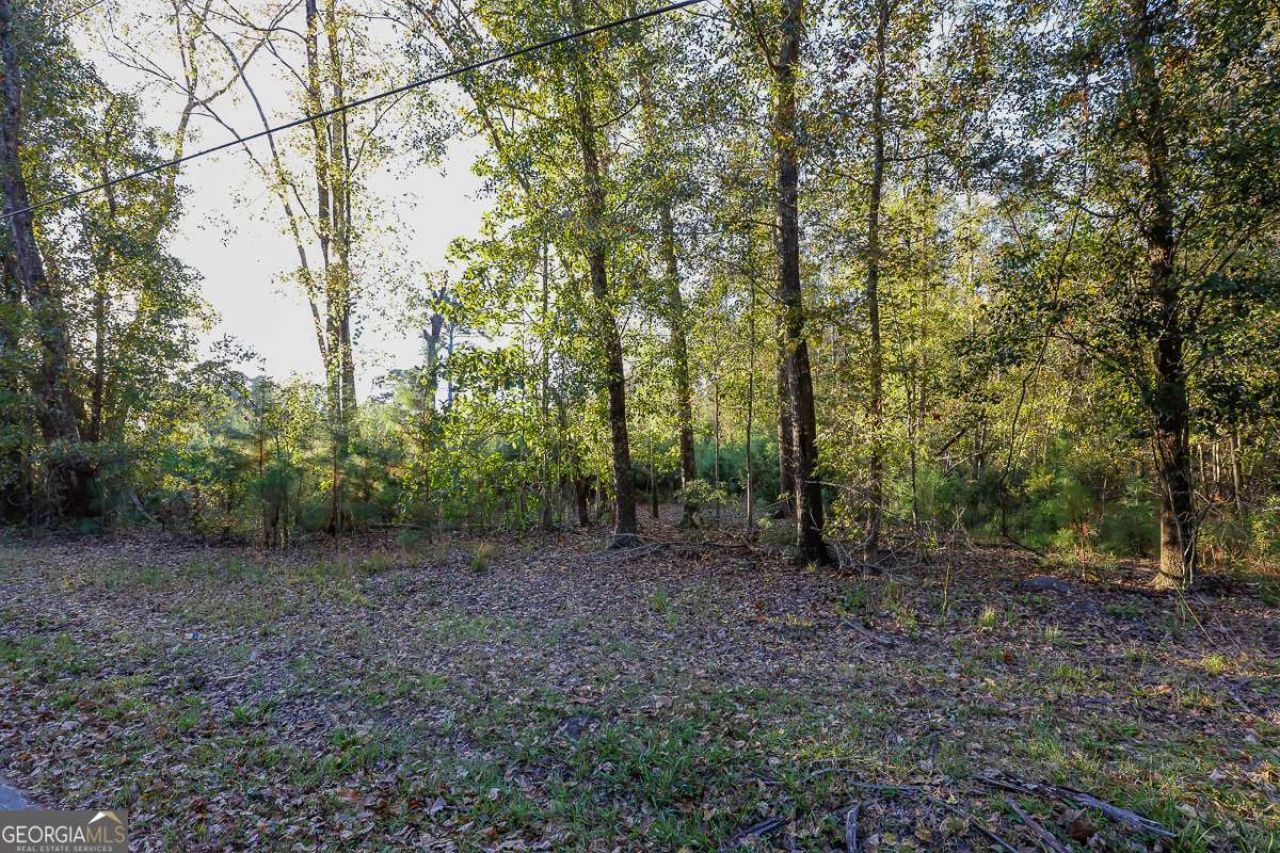 0 Cedar Lane, Guyton, GA 31312 Main Photo