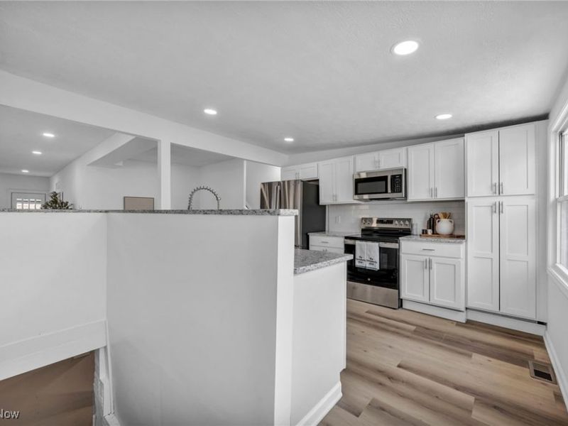 828 Nela View Road, Cleveland, OH 44112 Photo 15