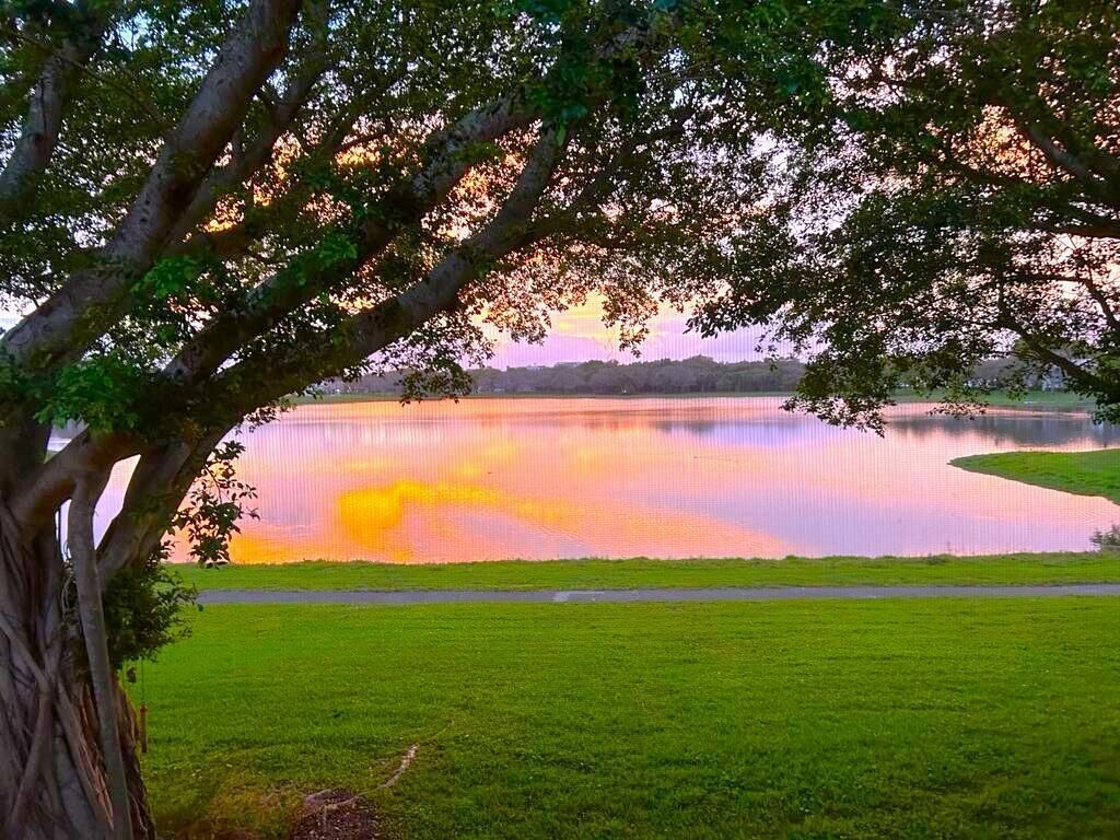 2900 Olivewood Terrace, Unit 203, Boca Raton, FL 33431 Photo